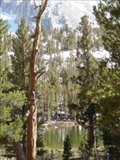 by kiwiaoraki, Views[187]