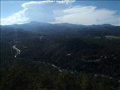 by kiwiaoraki, Views[485]