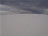 by kiwiaoraki, Views[800]