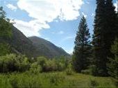 by kiwiaoraki, Views[354]