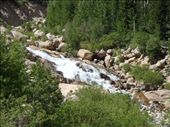 by kiwiaoraki, Views[460]