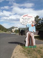 by kiwiaoraki, Views[910]