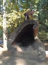 by kiwiaoraki, Views[474]