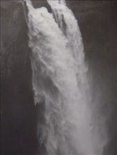 by kiwiaoraki, Views[460]