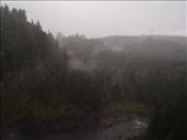 by kiwiaoraki, Views[482]