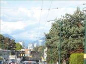 by kiwiaoraki, Views[487]