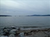 by kiwiaoraki, Views[462]