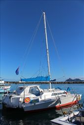 by kiwiaoraki, Views[167]