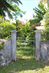 by kiwiaoraki, Views[140]