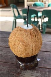 by kiwiaoraki, Views[187]