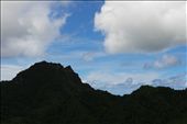 by kiwiaoraki, Views[194]