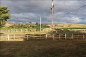 by kiwiaoraki, Views[250]