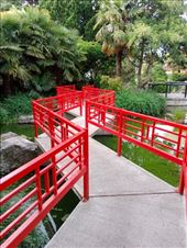 by kiwiaoraki, Views[72]