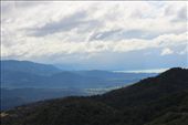 by kiwiaoraki, Views[432]