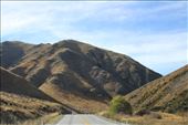 by kiwiaoraki, Views[496]