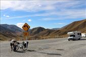 by kiwiaoraki, Views[340]
