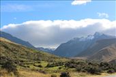 by kiwiaoraki, Views[473]
