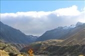 by kiwiaoraki, Views[457]