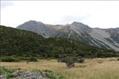by kiwiaoraki, Views[192]