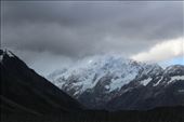 by kiwiaoraki, Views[164]