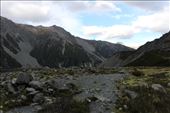 by kiwiaoraki, Views[193]