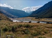 by kiwiaoraki, Views[98]