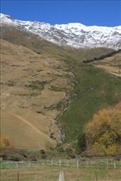 by kiwiaoraki, Views[371]