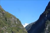 by kiwiaoraki, Views[456]