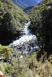 by kiwiaoraki, Views[451]