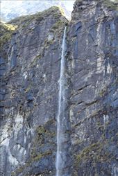 by kiwiaoraki, Views[484]