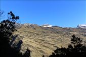 by kiwiaoraki, Views[463]