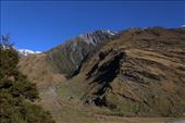 by kiwiaoraki, Views[439]