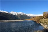 by kiwiaoraki, Views[136]