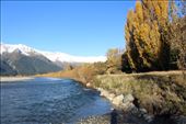 by kiwiaoraki, Views[172]