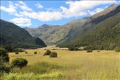 by kiwiaoraki, Views[120]