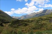by kiwiaoraki, Views[97]