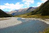 by kiwiaoraki, Views[537]
