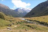 by kiwiaoraki, Views[86]