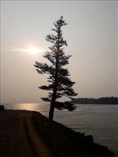 by kiwiaoraki, Views[81]