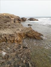 by kiwiaoraki, Views[94]