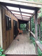 by kiwiaoraki, Views[81]