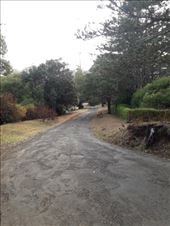 by kiwiaoraki, Views[108]