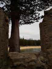 by kiwiaoraki, Views[124]