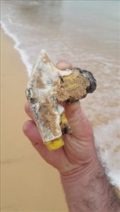 by kiwiaoraki, Views[63]