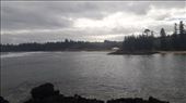 by kiwiaoraki, Views[100]