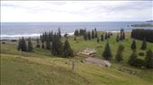 by kiwiaoraki, Views[92]