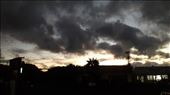 by kiwiaoraki, Views[108]