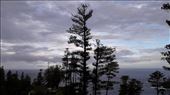 by kiwiaoraki, Views[81]