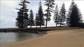 by kiwiaoraki, Views[60]
