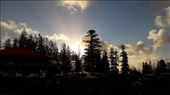by kiwiaoraki, Views[71]